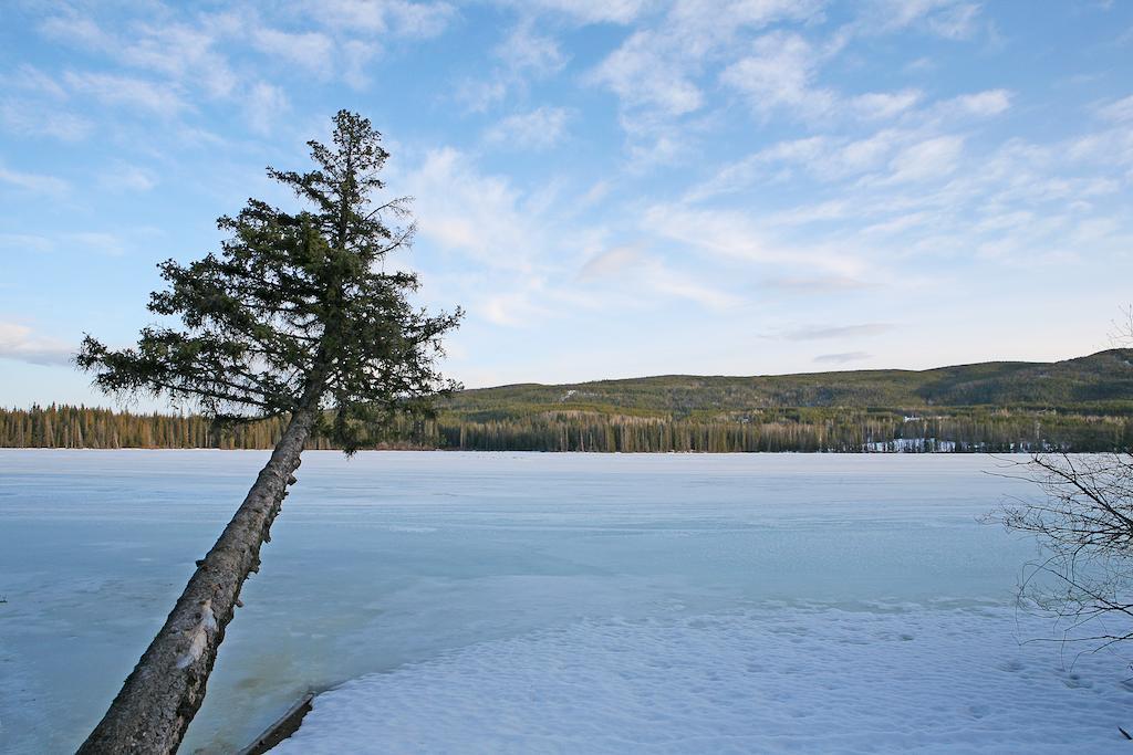 Lac Le Jeune Wilderness Resort Kamloops Extérieur photo